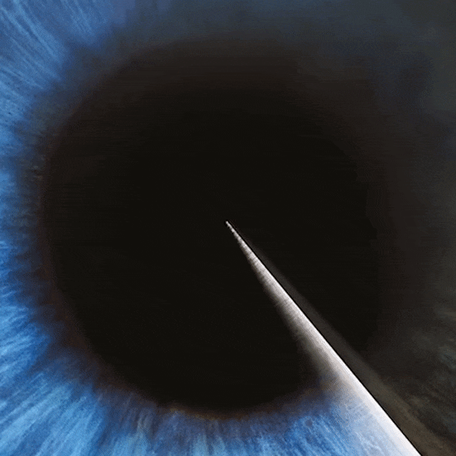 Nature Journal Research - Vision Restoration